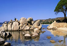 包含猛龙顺利斩获人的复仇之战显得更加刺激的词条